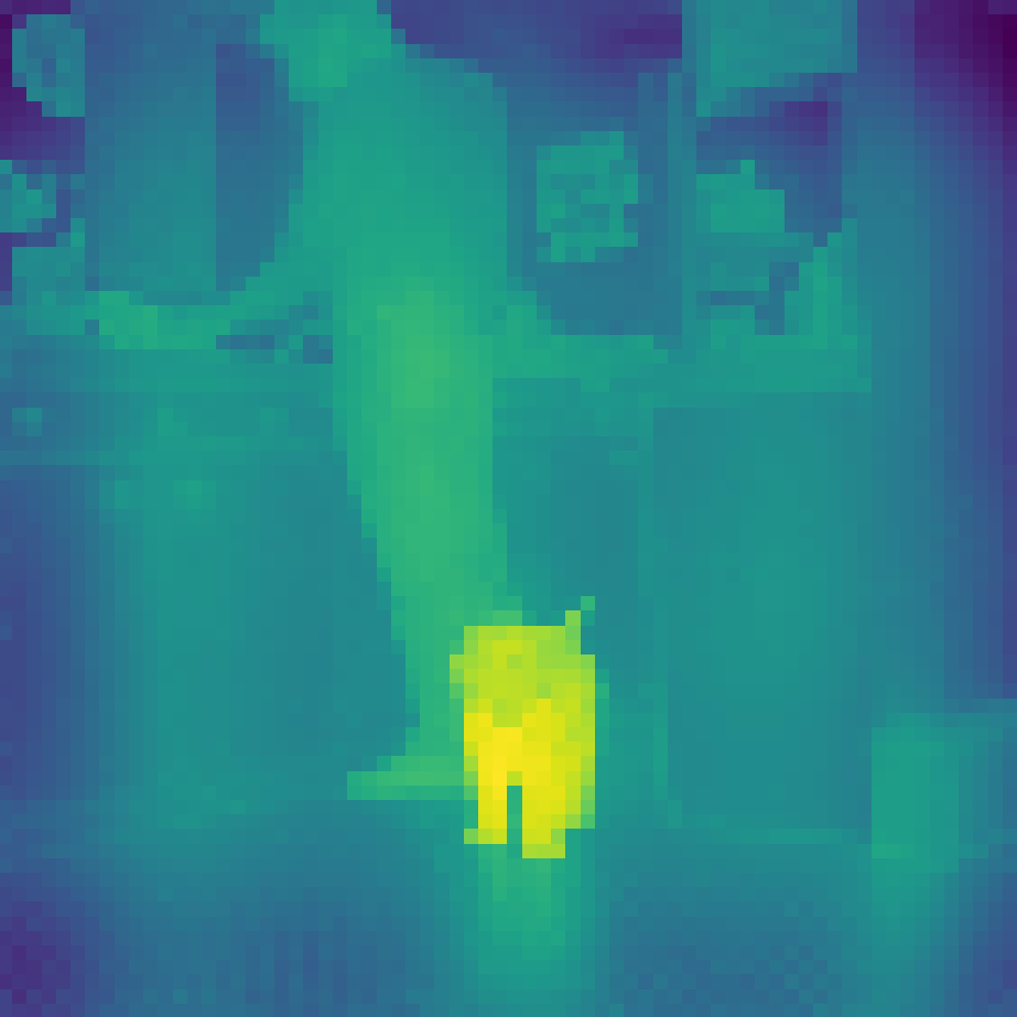 PANC visualization